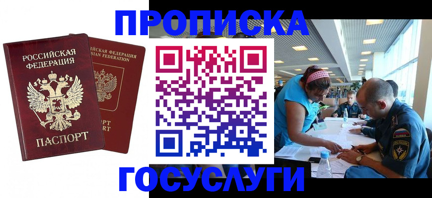 прописка поиск в Елизово