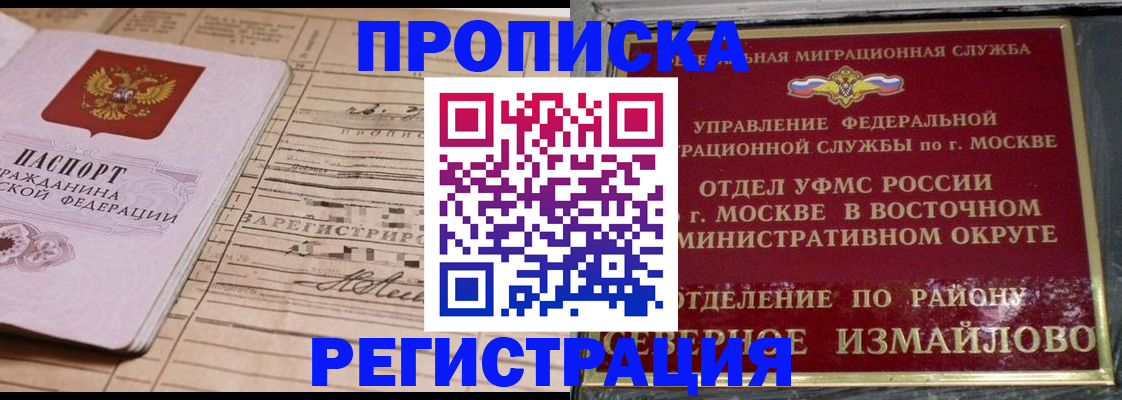 где прописаться в Елизово